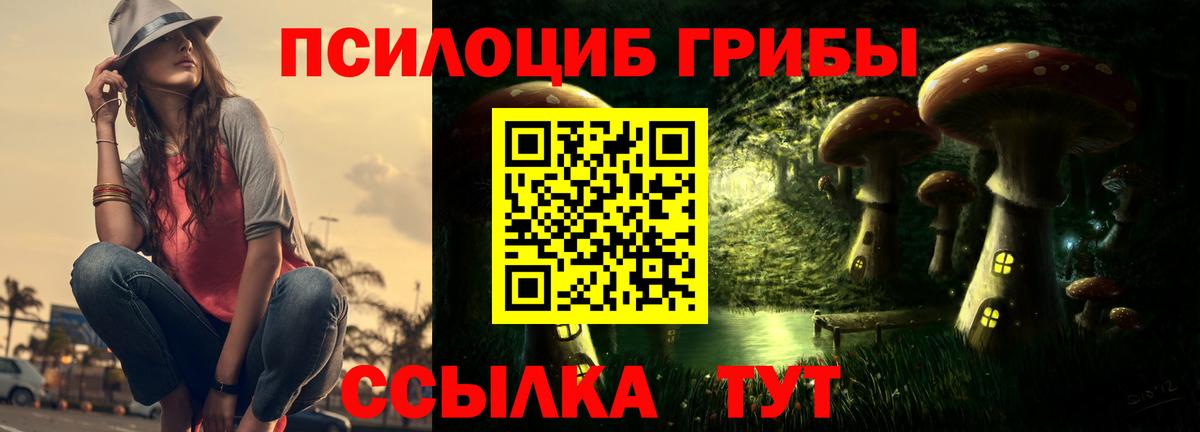 Псилоцибиновые грибы Magic Shrooms Курчатов