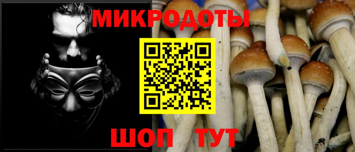 Псилоцибиновые грибы прущие грибы  Вход с VPN  Курчатов  Галлюциногенные грибы GOLDEN TEACHER 